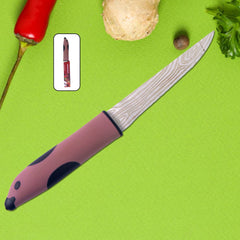 Multi-Purpose Stainless Steel Kitchen Cutting Knife (1 Pc)