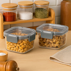 Apex Press N' Lock ClearView Airtight Food Containers – 2-Pack Freshness Set (540ml)