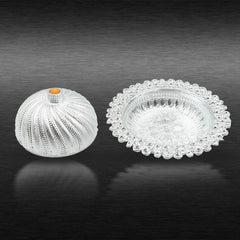 Multipurpose Dry Fruit Box with Lid – Mukhvas Storage & Serving Box – Stylish Kitchen Storage Container (1 Pc)