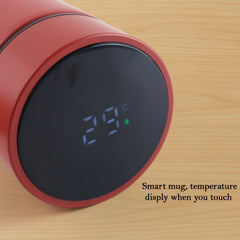 Red Vacuum Insulated Water Bottle (1 Pc / 500ML)