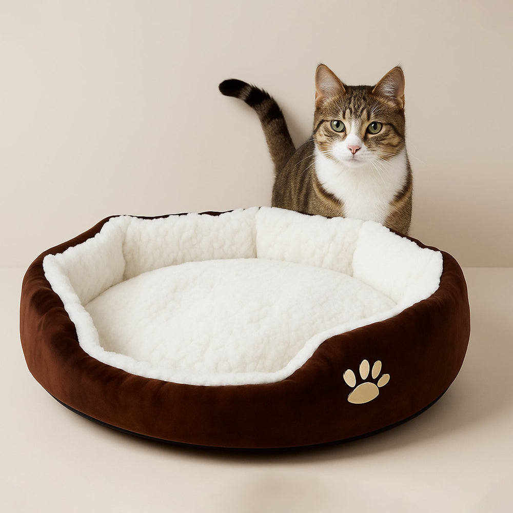 Luxury Soft Plush Round Pet Bed for Cats and Small Dogs (1 Pc)