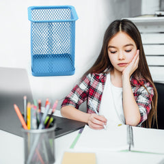 Pen Holder for Desk, Metal Mesh Holder (1 Pc)