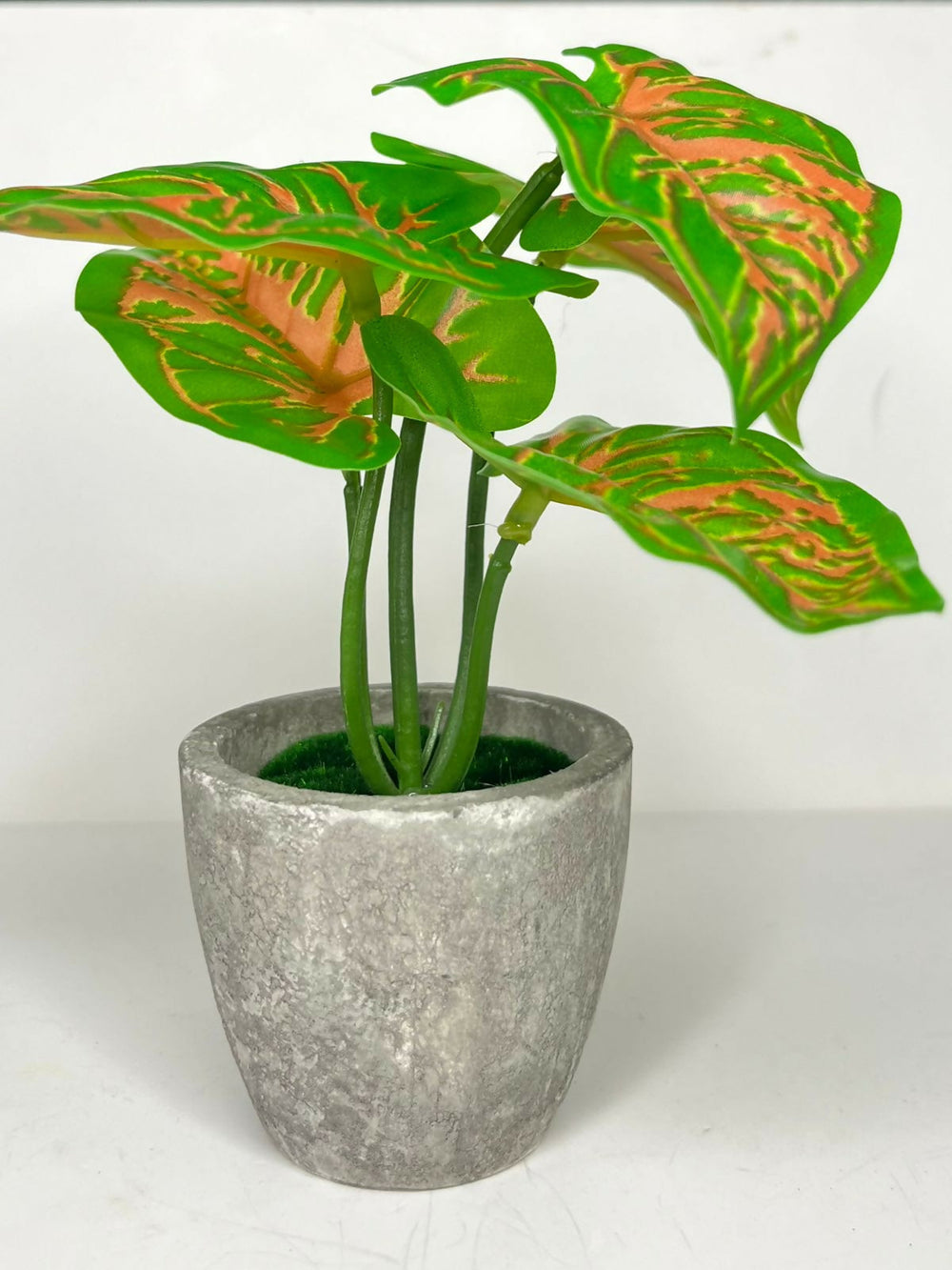 CoralBlush Syngonium Decorative Artificial Plants in Pots Indoor for Home Wall Desk Bedroom Restaurant Decoration, Realistic Lush Green Leaves