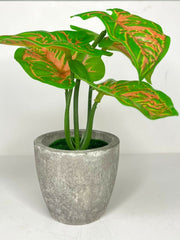 CoralBlush Syngonium Decorative Artificial Plants in Pots Indoor for Home Wall Desk Bedroom Restaurant Decoration, Realistic Lush Green Leaves